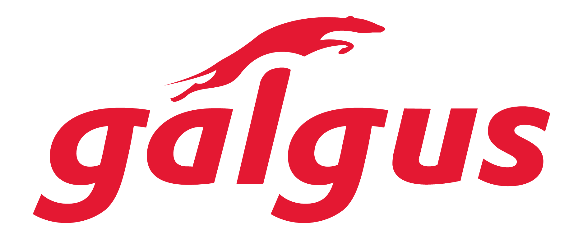 Logo Galgus